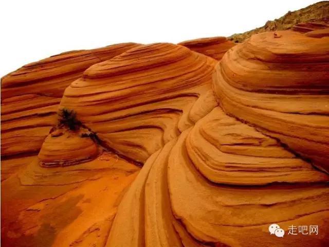 龙洲丹霞地貌位于陕西榆林靖边县东南22公里处的龙洲乡,其奇特的地貌