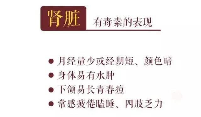 肾主纳气,肾主水液 肾开窍于耳 肾司二便 腰为肾之府.