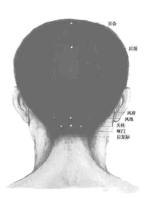 后脑勺有这么个"地方",每天摸一摸,补肾效果非常好!