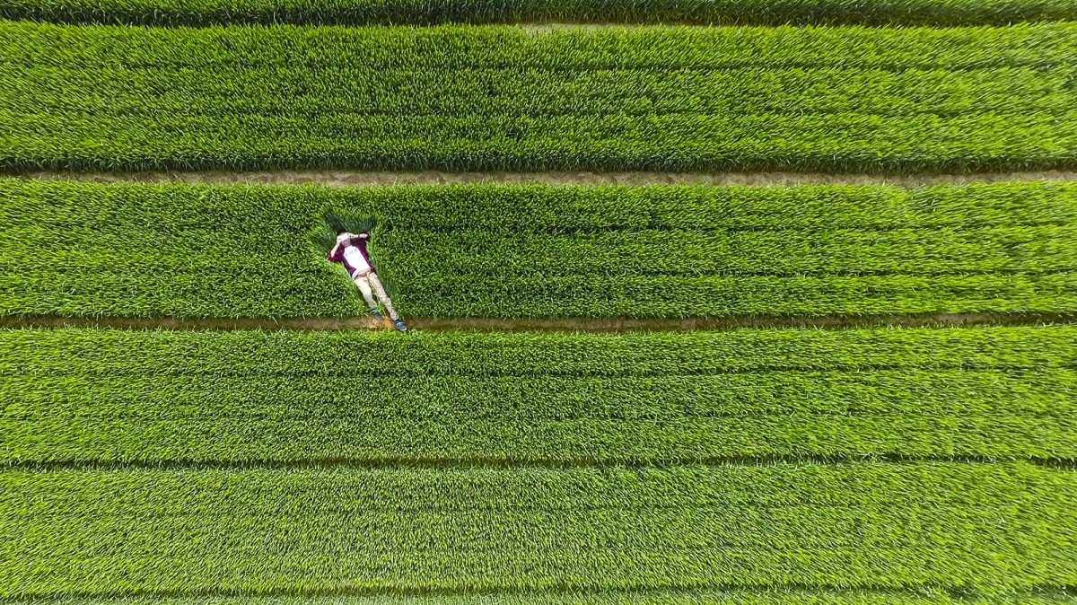 the-wide-open-fields-of-the-xiwei-reservoir-in-shandong-china.