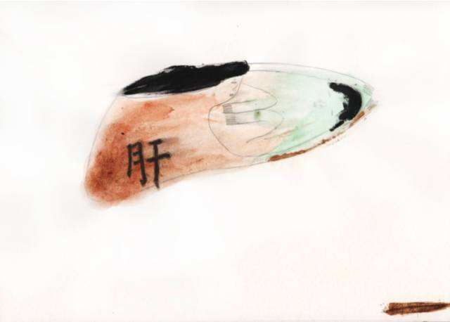 脸上出油长痘嘴里口干口臭,可能是湿热!