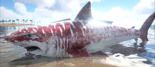 巨齿鲨,这种鲨鱼平均17米长,60吨重.