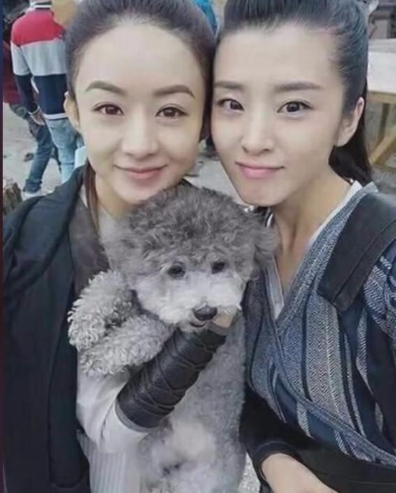 《楚乔传》赵丽颖曾在"快本"几度哽咽,为报张睿恩情力捧剧中的仲羽