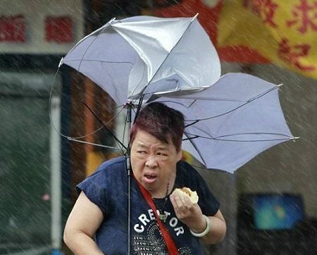 面对狂风暴雨不屑的眼神,值得我们尊敬