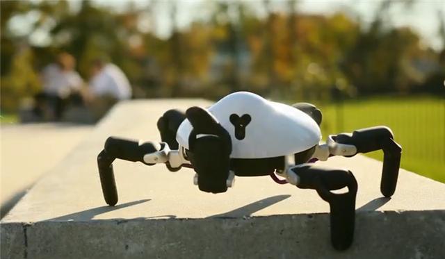中国大学生发明世界首款智能蜘蛛机器人惊艳全球