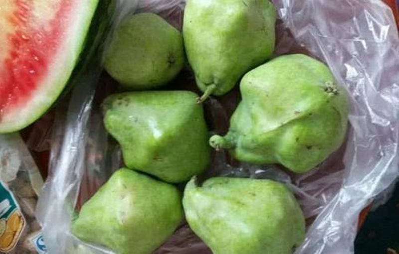 八角梨是新疆梨子品种中的土品种,每年八月份左右成熟,吃起来又绵又嫩