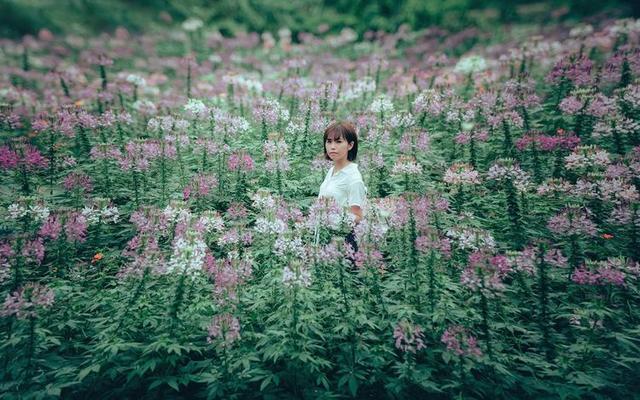 我未婚先孕后领证,看到结婚证婆婆收起了彩礼