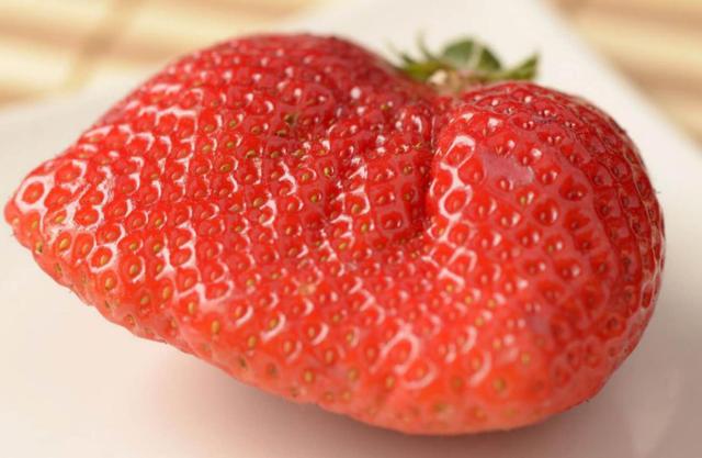 个头大、长相畸形的草莓跟膨大剂有关吗?