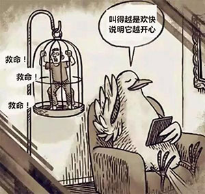 總有一天動物會統治人類,這是證據