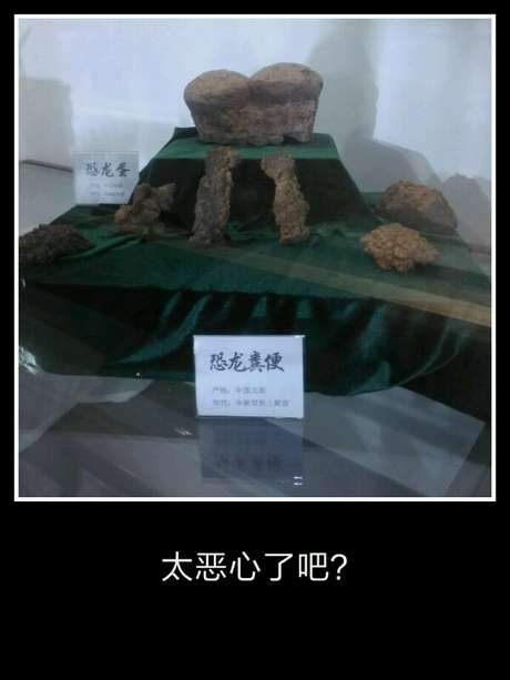 人类的繁衍真恶心 人类繁衍的过程和原理