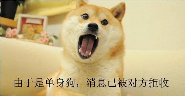 单身狗,对方撤回了一条消息