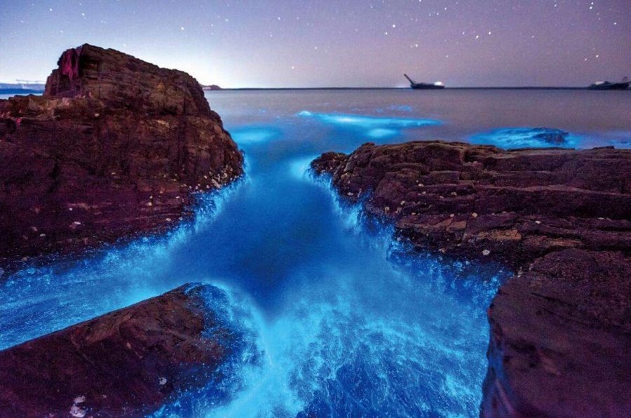 唯美奇幻探访澳大利亚蓝色荧光海滩
