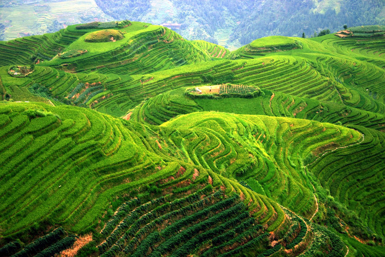 中国最美的五大梯田每一个都是人间仙境