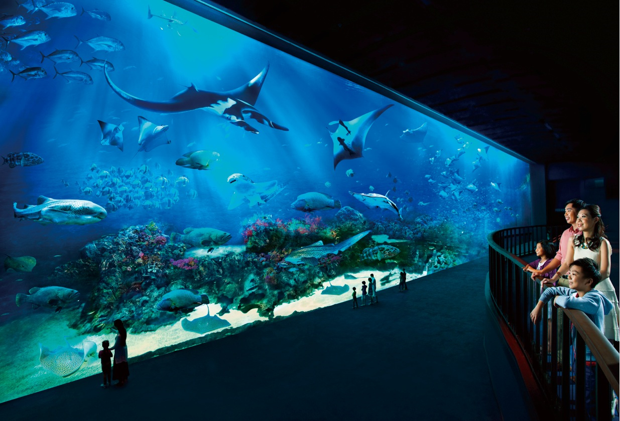 新加坡海底酒店图片