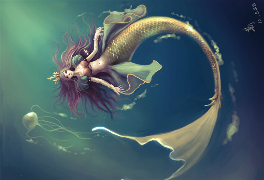 盖饭娱乐 | 有趣有料