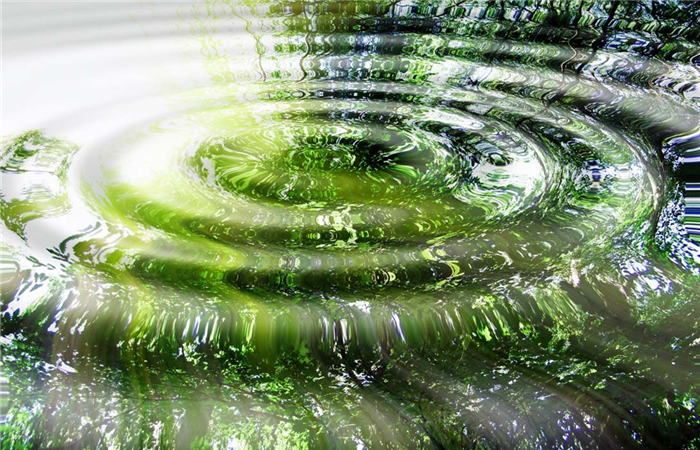 水面涟漪是如何形成的?简单的现象内藏大学问!