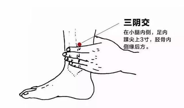 有一個穴位,可以改變你的肥胖,性冷淡,還可以調理蕁麻疹!