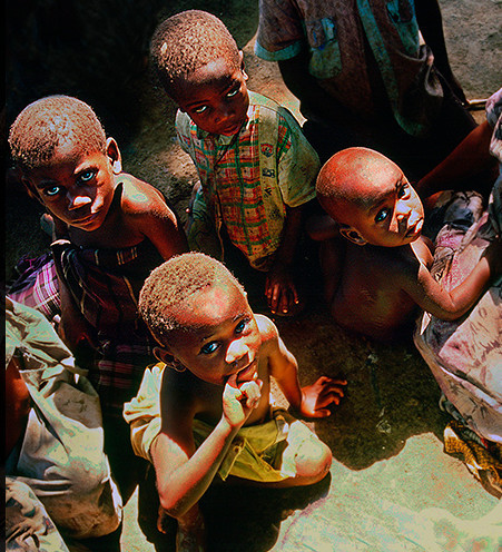 俾格米人大多由40到60人组成一个群体,在固定区域活动.