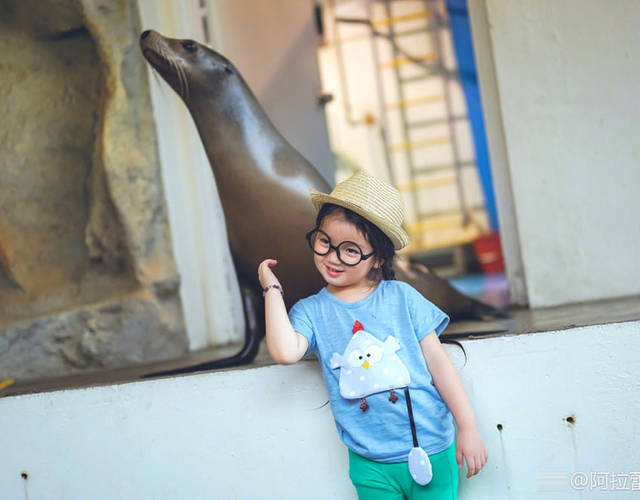 阿拉蕾戴眼镜古灵精怪很是可爱