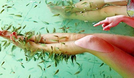 盖饭娱乐 | 有趣有料