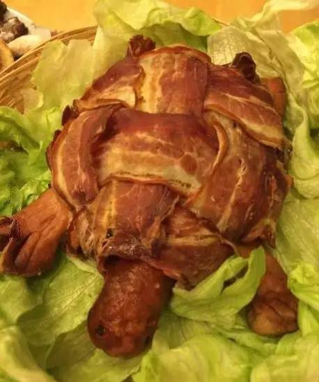 服务员说这是一盘乌龟肉