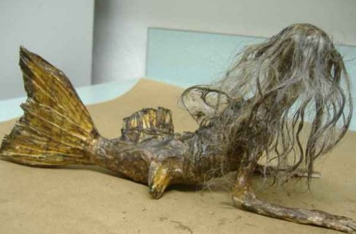 的,后来确定为黑鳞鲛人,即传说中的"美人鱼"在我国的古籍中也多见记载