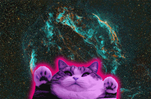 猫 思考 宇宙 表情包图片